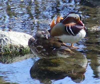 Прикрепленное изображение: su1.jpg